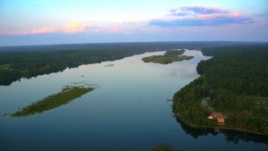 Image_17028